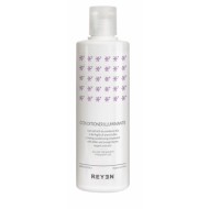 Aufhellender Conditioner Reyen - häufige Anwendung