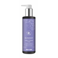 Purple Toning Mask- Blondway