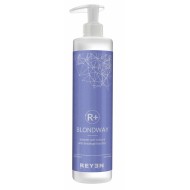 Blondway R+ - Anti-Breakage Booster