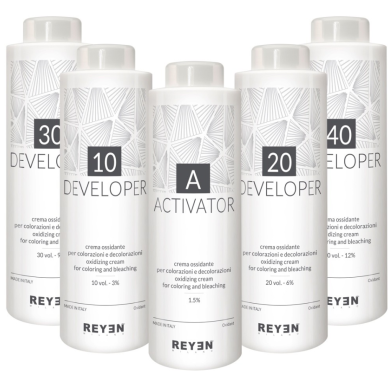 Reyen Developer