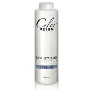 Developer Tono su Tono - Color by Reyen
