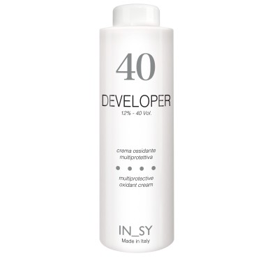 Developer - InSy