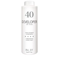 Developer - InSy