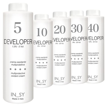 Developer - InSy