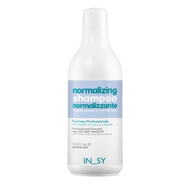 IN_SY  Normalizing Shampoo