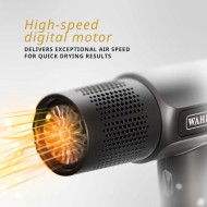 Haartrockner Wahl Vanquish